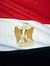Ahmed E...