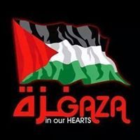 محمد المرتضي