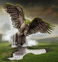 وائل الشهاوى