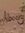Abeer A...
