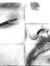 Ahmed S...