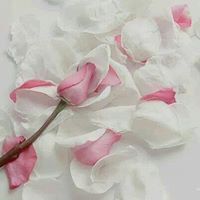 ألآء الرحمان