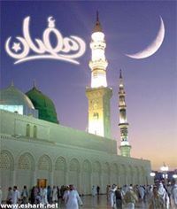 Mohamad Mohsn