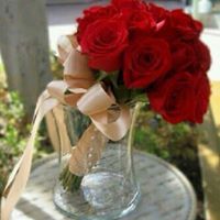 شروق الجعفري