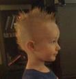 Cody