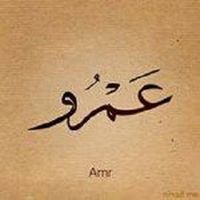Amr Hussien