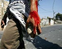 عمرو عبد الهادي