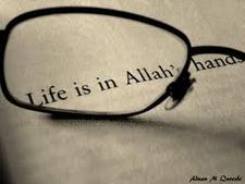 Aletry.nuha