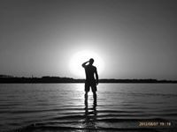 Владимир Николић