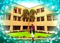 Saizsa Kd