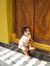 Girish ...