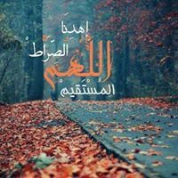 Mohamedsebak Momo