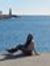 Filipa ...