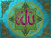 Amir Mohamed