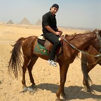 Mohamed Hossam