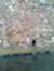 Mohamma...