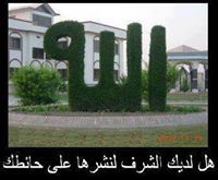 Mohamad Abdalla