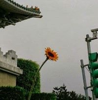 Feng-Li Lin
