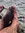 Mark | 3 comments