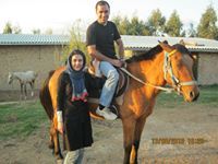 Mohsen Hashemzadeh