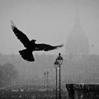 Philo Sopher