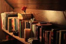 حنان أبوسليم