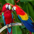 Gbrcairns Gbrcairns