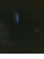 Sk Md