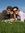 Mohsen Nz