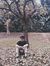 Kian Eng