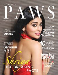 Shashi Preetam