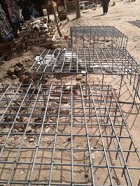 ياسر حلمي
