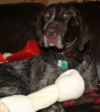 Melony'ncarey Hoefer