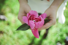 The Commoner Princess