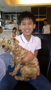 Brandon Cheung