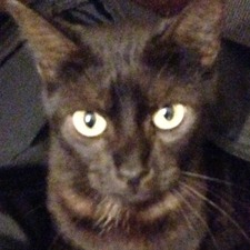 Sil
