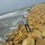 Mohamed Ashraf