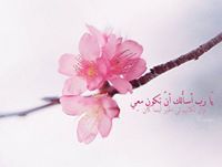 صفاء التيتي