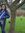 Ossey A...