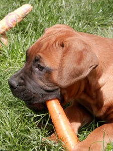 SUSAN   *Nevertheless,she persisted*