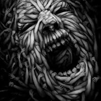 السعيد الشيخ