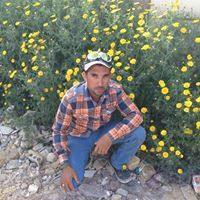 سلام الحداد