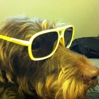 Cocoa Scott-gonzalez