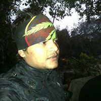 Shivek Tripathi