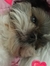 Jeannie