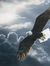 Eagle K...
