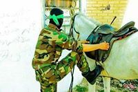 الآقصي في خطر