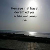 أعقل مجنوونه