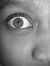 Elinn T...