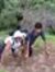 Shubham...